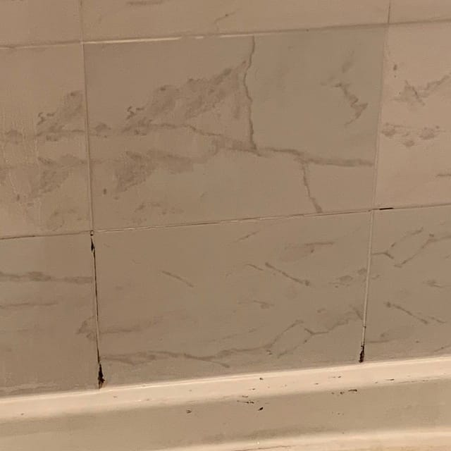 Cleaning project by Strong Hands Cleaning LLC — photo 59